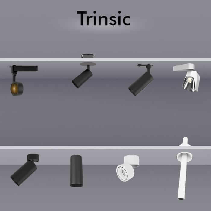 Trinsic