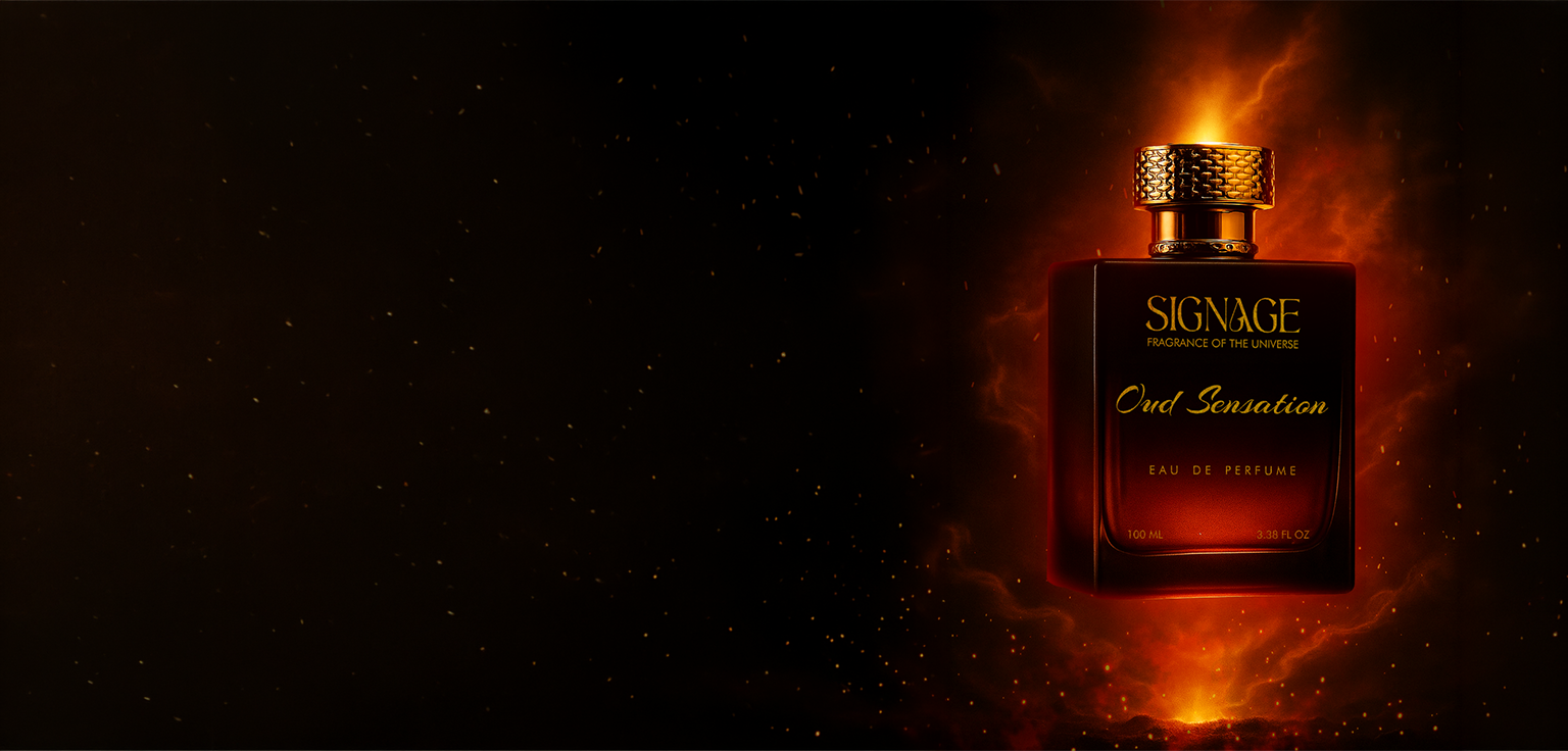 All perfumes at 30% off